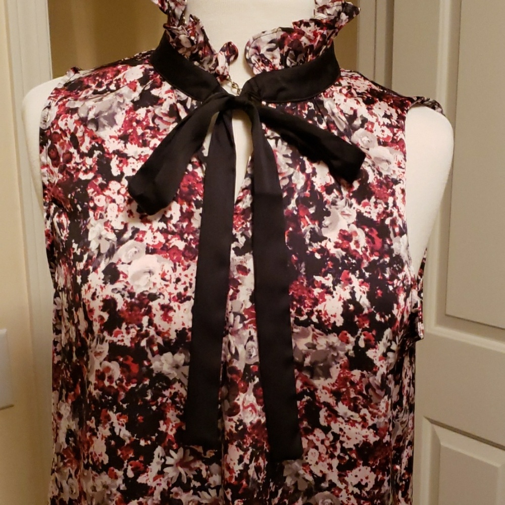 Limited - Picture 2 of 3